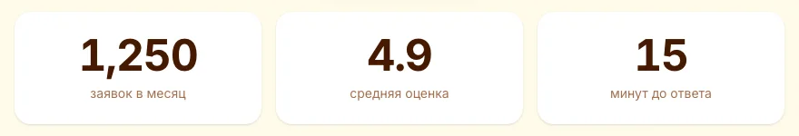 Счётчики NumberTicker сразу после установки: числа в английском виде, 1,250 и 4.9